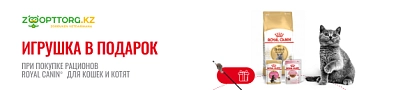 Игрушка в подарок за покупку сухих рационов для кошек Royal Canin