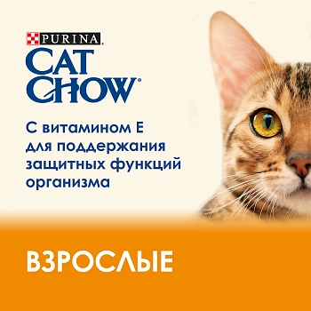 Cat Chow Adult Мультипак для взрослых кошек (кусочки в желе)