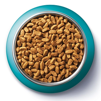 Purina One корм для домашних стерилизованных кошек и кастрированных котов
