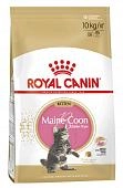 Royal Canin Maine Coon Kitten для котят породы мейн-кун