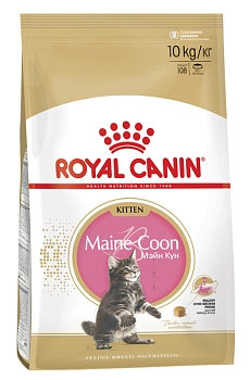 Royal Canin Maine Coon Kitten для котят породы мейн-кун