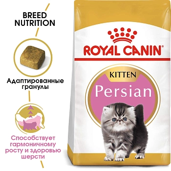 Royal Canin Persian Kitten для котят персидской породы
