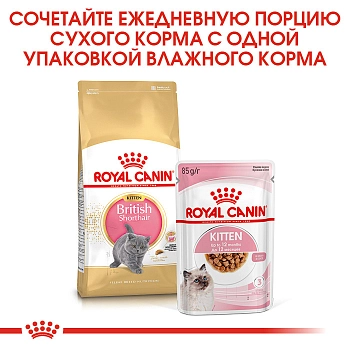 Royal Canin British Shorthair Kitten для котят британской короткошерстной породы