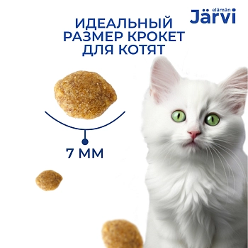 Jarvi сухой полнорационный корм для котят