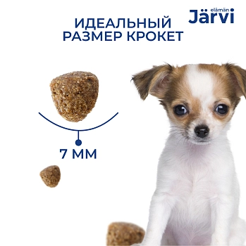 Jarvi сухой полнорационный корм для щенков мелких пород