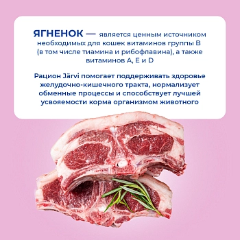 Jarvi Extra meat line пауч для кошек с чувствительным пищеварением (кусочки в соусе)