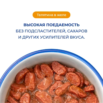 Jarvi пауч для котят и беременных кошек (кусочки в желе)