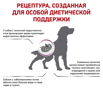 Royal Canin Renal корм для собак при заболевании почек