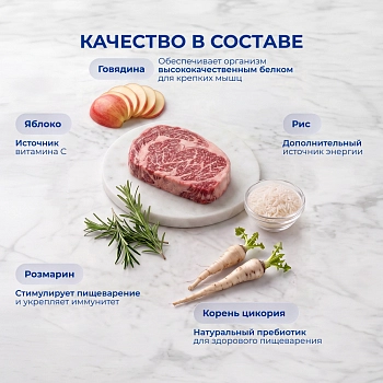 Jarvi сухой полнорационный корм для взрослых собак средних и крупных пород