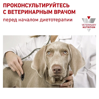Royal Canin Renal корм для собак при заболевании почек