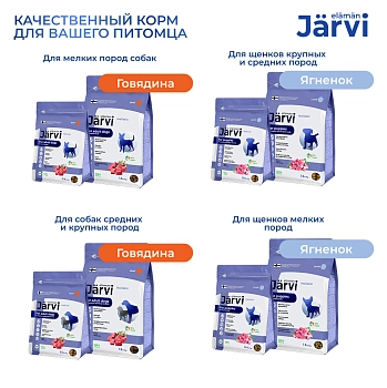 Jarvi сухой полнорационный корм для взрослых собак мелких пород с чувствительным пищеварением