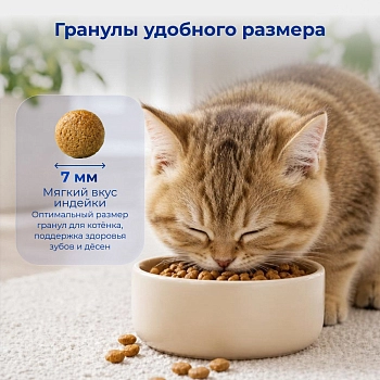 Jarvi сухой полнорационный корм для котят