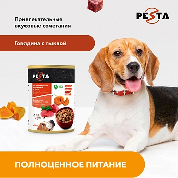 Pesta "Стью из говядины с мускатной тыквой" консервы для щенков и собак всех пород