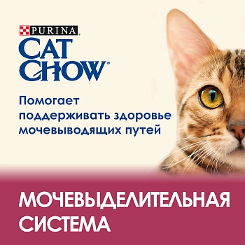 Cat Chow Special Care Urinary для кошек при профилактике МКБ