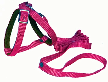 Гамма шлейка нейлоновая для кошек