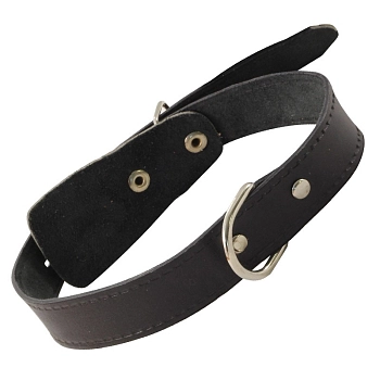 Гамма ошейник кожаный одинарный c кольцом