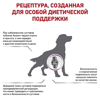 Royal Canin Mobility C2P+ корм для собак при заболеваниях опорно-двигательного аппарата