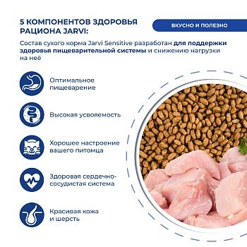Jarvi сухой полнорационный корм для взрослых кошек с чувствительным пищеварением
