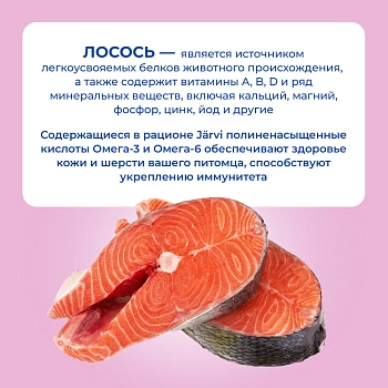 Jarvi Extra meat line пауч для кошек для красивой шерсти и здоровой кожи (кусочки в желе)