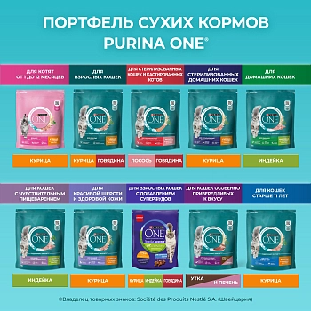 Purina One корм для домашних кошек