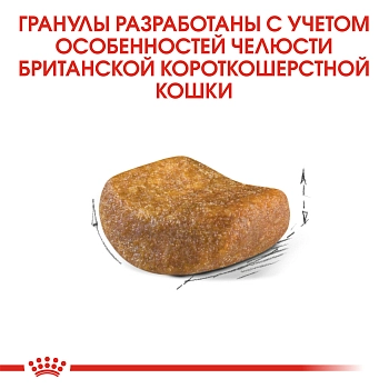 Royal Canin British Shorthair Adult для взрослых кошек британской короткошерстной породы