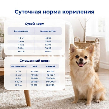 Jarvi сухой полнорационный корм для взрослых собак мелких пород