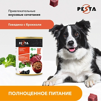 Pesta "Стир-фрай из говядины с брокколи" консервы для щенков и собак всех пород