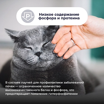 Jarvi Preventive diet line Renal пауч для кошек для профилактики заболеваний почек (соус)