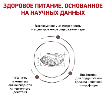 Royal Canin Hepatic корм для собак при заболеваниях печени