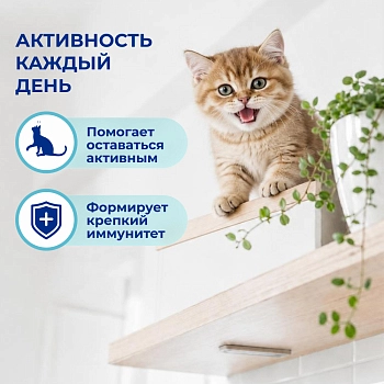 Jarvi сухой монопротеиновый полнорационный корм для котят