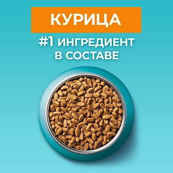 Purina One корм для взрослых кошек