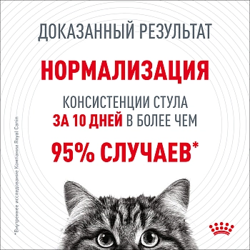 Royal Canin Digest Sensitive пауч для кошек с чувствительным пищеварением (кусочки в соусе)