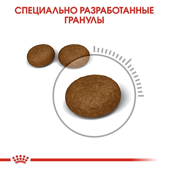 Royal Canin Hair & Skin Care для поддержания здоровья и шерсти кошек