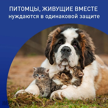 Фронтлайн спрей