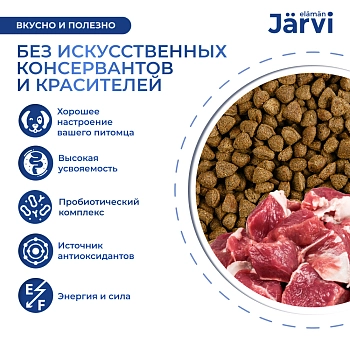 Jarvi сухой полнорационный корм для взрослых собак средних и крупных пород с чувств. пищеварением