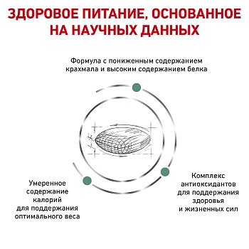 Royal Canin Diabetic корм для кошек при диабете