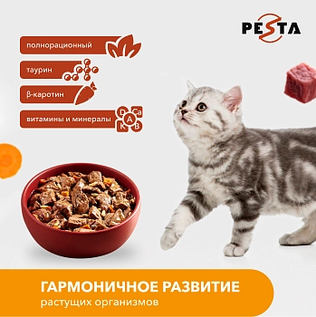 Pesta пауч для кошек (кусочки в соусе)