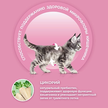 Purina One корм для котят
