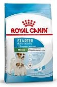 Royal Canin Mini Starter для щенков до 2 месяцев, беременных и кормящих сук