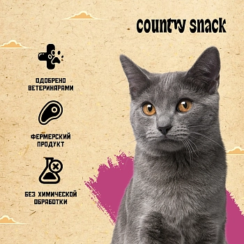 Country snack пауч для котят (в соусе)