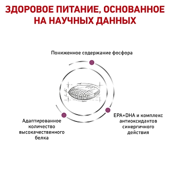 Royal Canin Renal корм для собак при заболевании почек