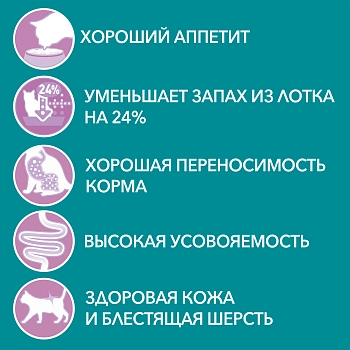 Purina One пауч для кошек с чувствительным пищеварением (кусочки в подливе)