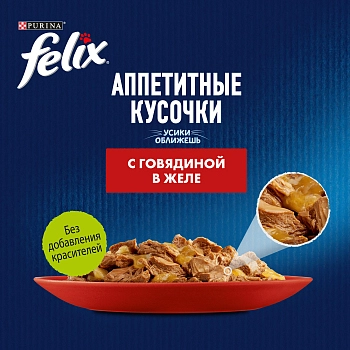 Felix Аппетитные кусочки пауч для кошек (кусочки в желе)