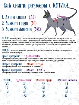Элегантный Кот худи "Фестиваль красок" для кошек