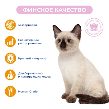 Jarvi Extra meat line пауч для котят (кусочки в соусе)