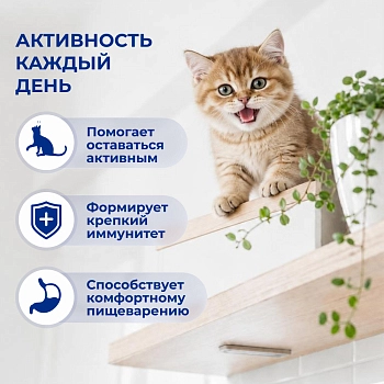 Jarvi сухой полнорационный корм для котят