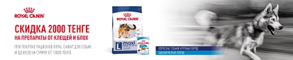 Скидка 2000тг на препараты от клещей и блох при покупке продукции Royal Canin на сумму от 10000 тенге_