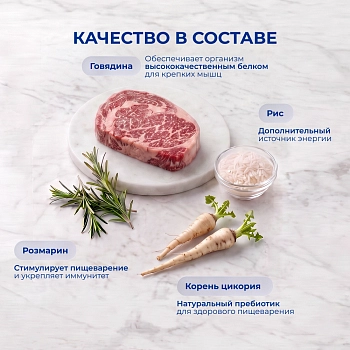 Jarvi сухой полнорационный корм для взрослых собак мелких пород