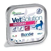 Monge Vet Solution Recovery консервы для кошек в период выздоровления (паштет)