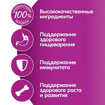 Whiskas пауч для котят (желе)